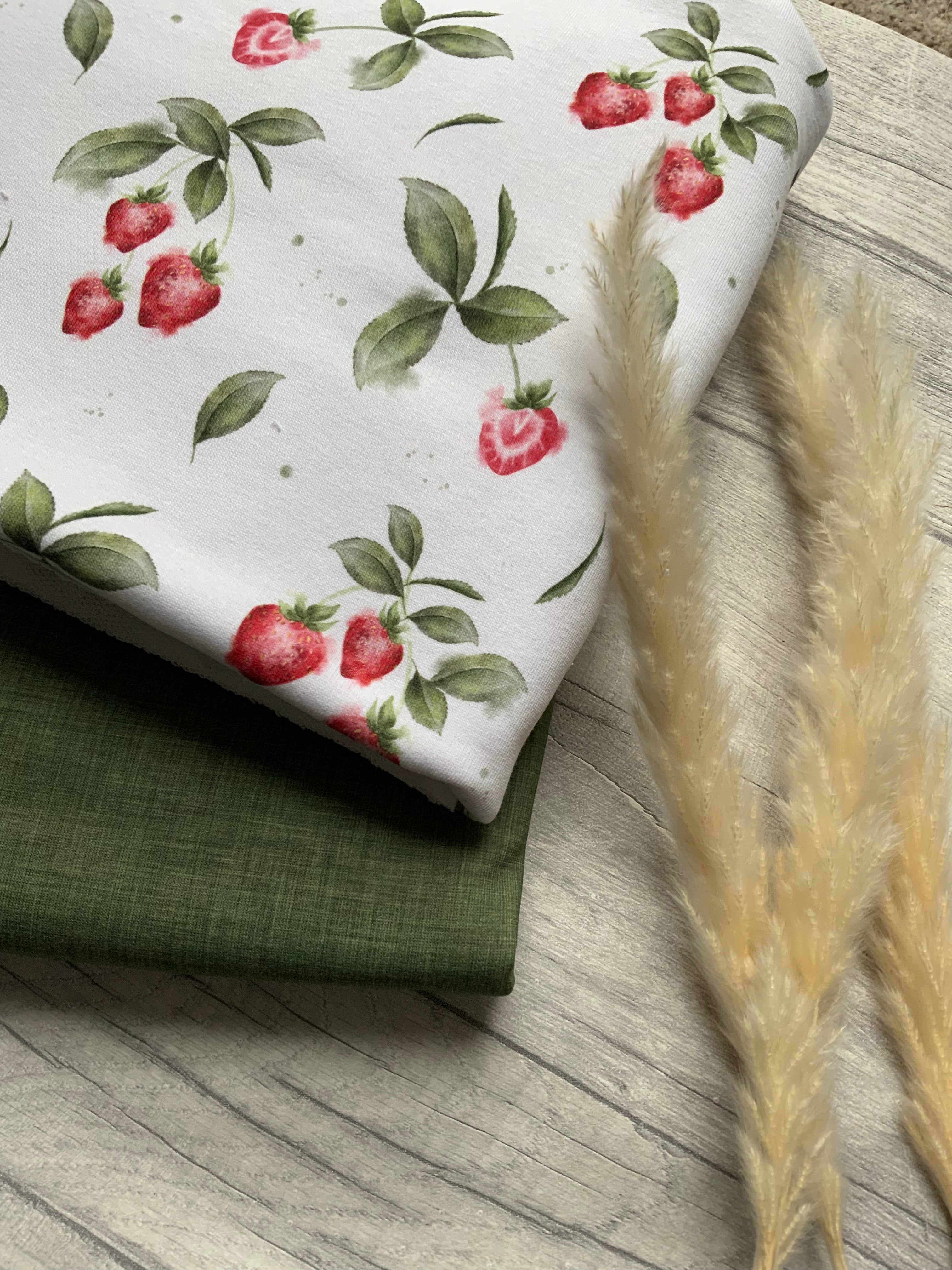 Erdbeeren Dauervorbestellung